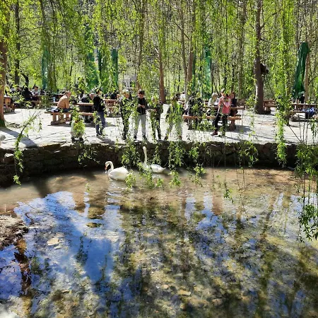 Ana By Interhome * Drinovci