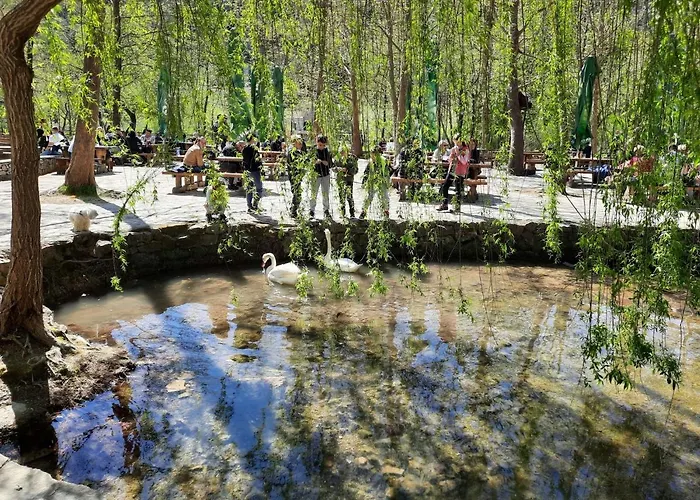 Ana By Interhome * Drinovci